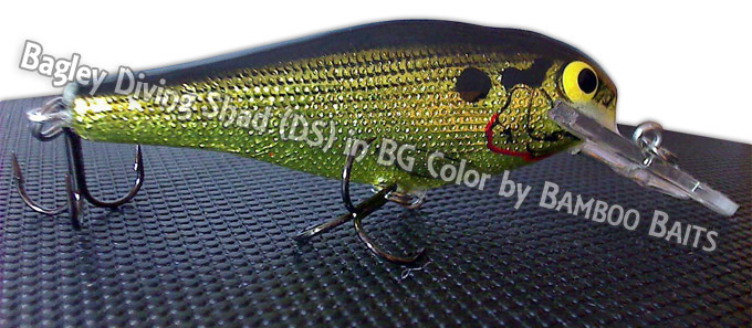  Bagley Diving Shad DS in BG Color 